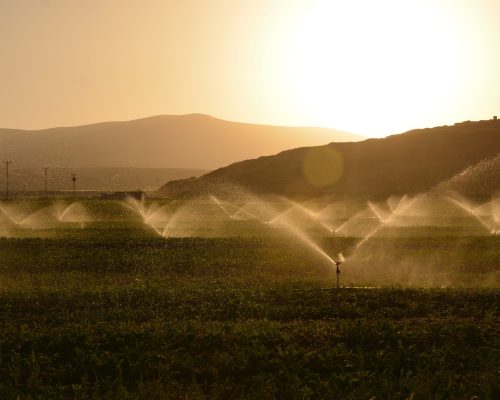 Agroindustrias Agroindustrias